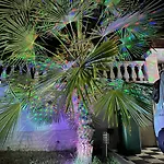 Πανσιόν Pulake